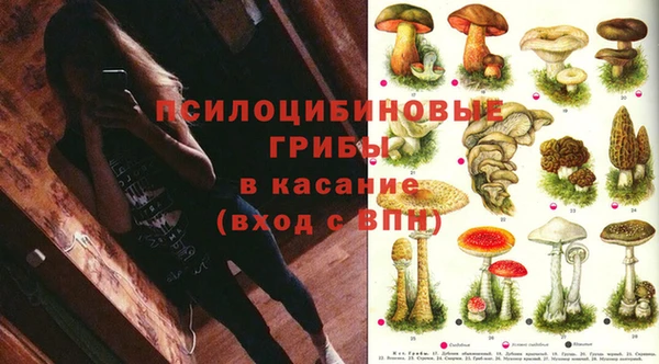 Альфа ПВП Балахна
