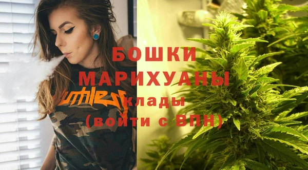 ПСИЛОЦИБИНОВЫЕ ГРИБЫ Балабаново