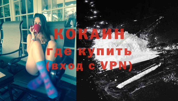 прущие грибы Баксан