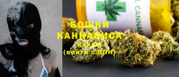ПСИЛОЦИБИНОВЫЕ ГРИБЫ Балабаново
