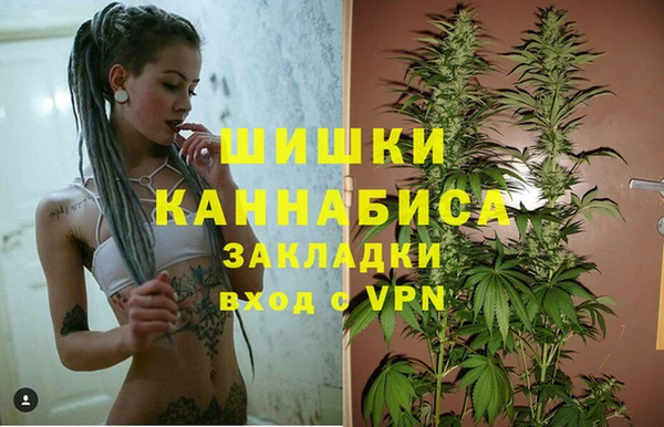 прущие грибы Баксан