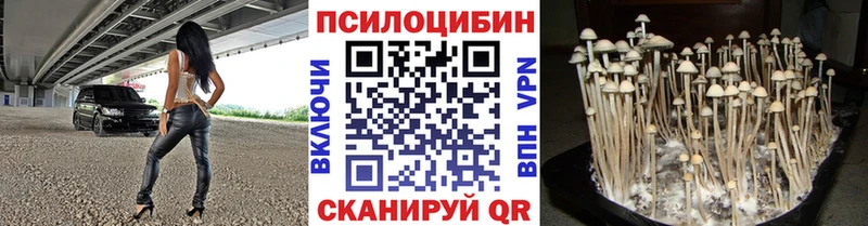 shop состав Озёры Галлюциногенные грибы мицелий